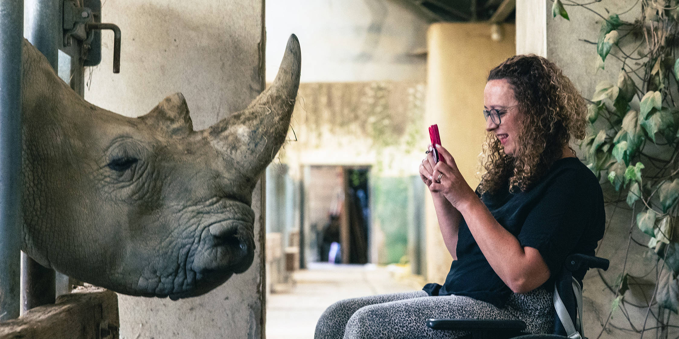 Carrie-Ann Lightley photographs a rhino in a zoo in the Cotswolds.