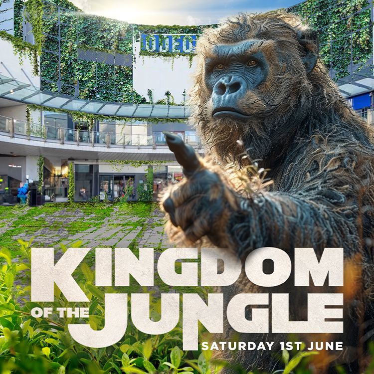 A poster for a retail event designed by Surfr for Eagles Meadow Shopping Centre.
